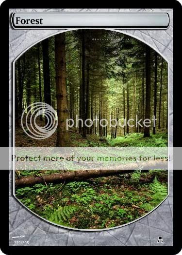 Forest2.jpg