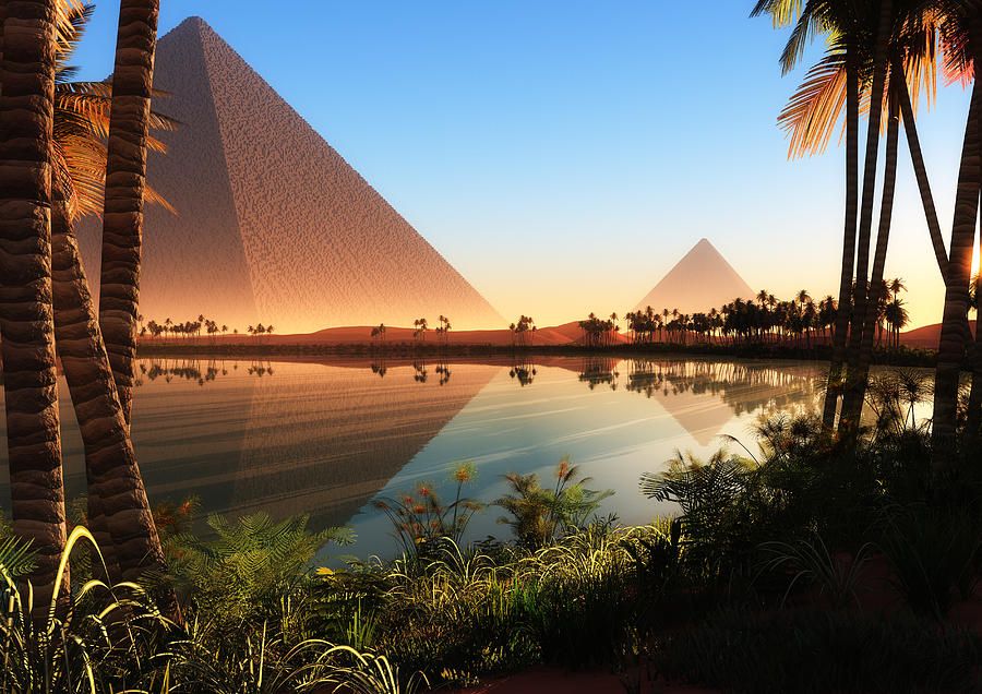 Пирамиды на ниле. Египет Пески пирамиды Оазис. Каир пирамиды пальмы.
