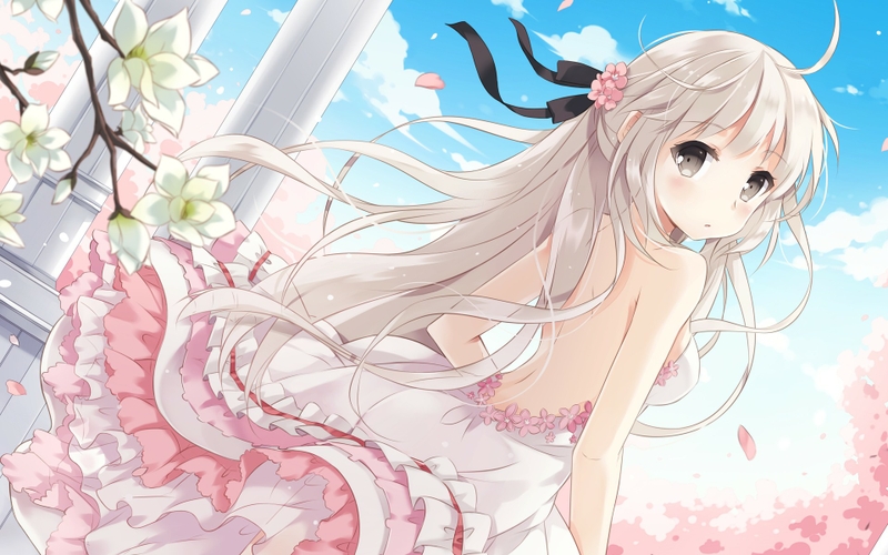 Cherry_blossoms_dress_flowers_long_hair_yosuga_no_sora_gray_eyes_white_hair_kasugano_sora_anime_girl_www.wall321.com_68.jpg