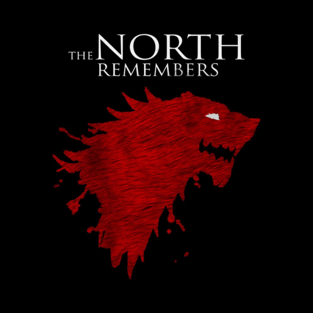 north-remembers-stark-black-tshirt.jpg