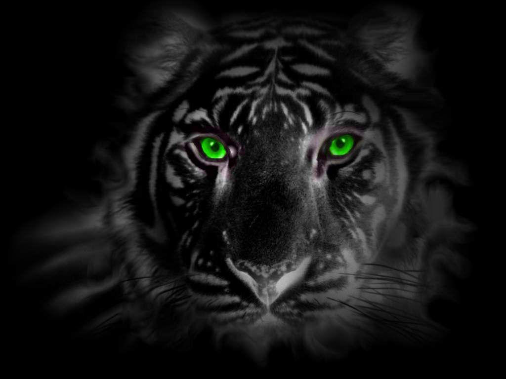 green_eye_tiger_by_tigerallied.jpg