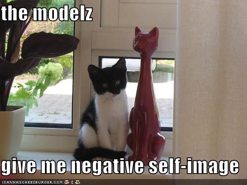 funny-pictures-self-image-cat.jpg