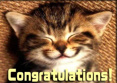 congratulations+cat.jpg