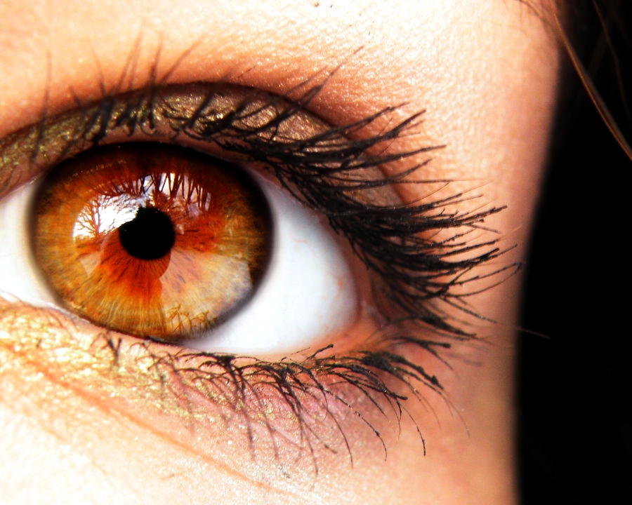 amber+eyes.jpg
