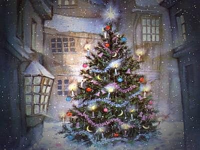 Best-Christmas-Trees-2.jpg