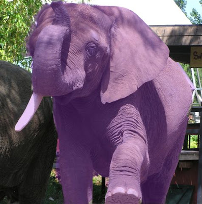purple%2Belephant.jpg