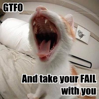 gtfo_take_fail_cat_2.jpg