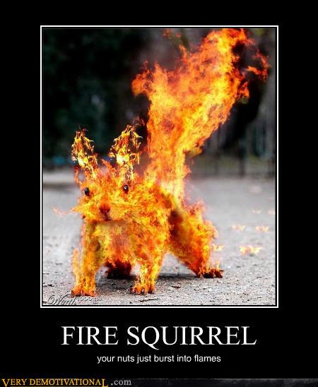 1516630968-demotivational-posters-fire-squirrel.jpg