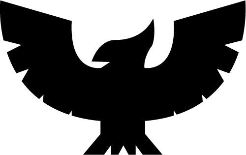 falcon-logo.jpg