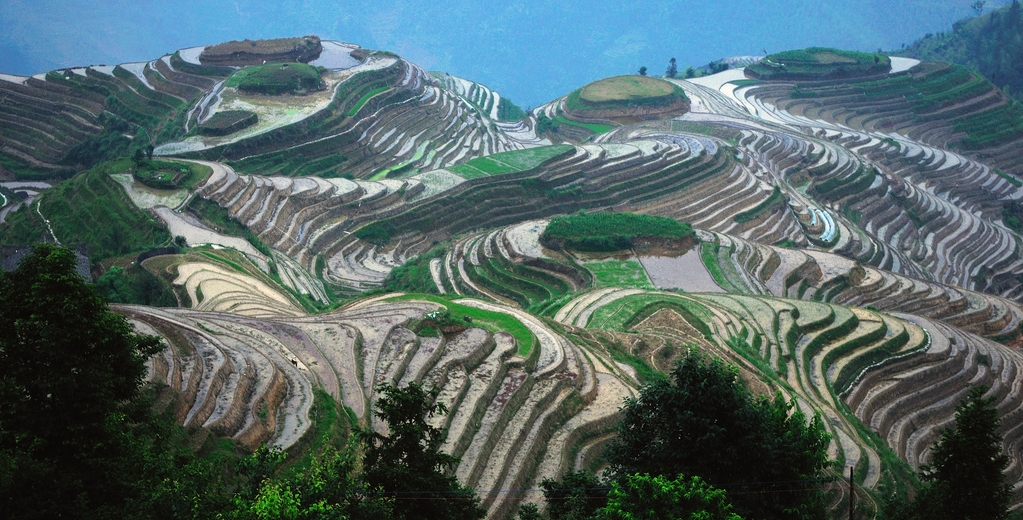 Longji-Rice-Terraces.jpg