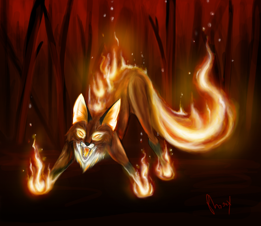 Fire_Fox_by_Phoenix_Cry.png