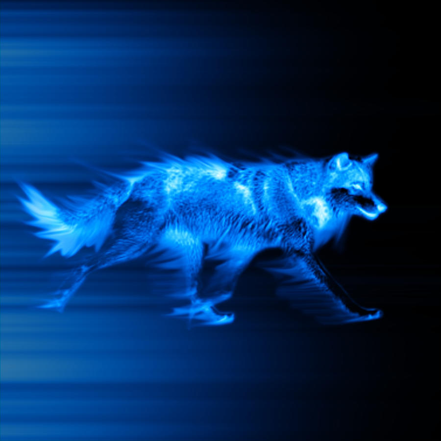 blue_wolf_by_xarcox-d4vkqqb.jpg
