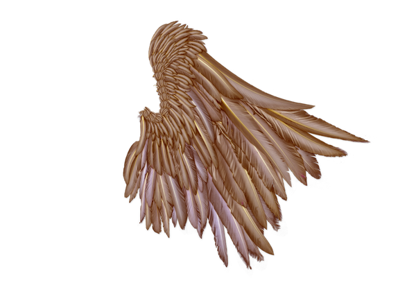 wings_are_brown_by_marioara08-d55xhqo.png