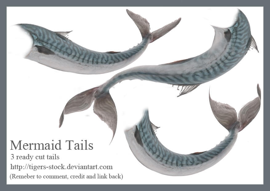 484_mermaid_tails_by_tigers_stock-d4vruji.jpg