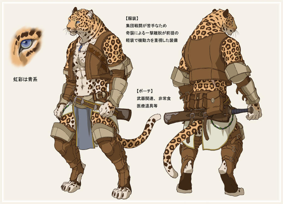 mercenary_of_leopard2_by_koutanagamori-d3984yk.jpg