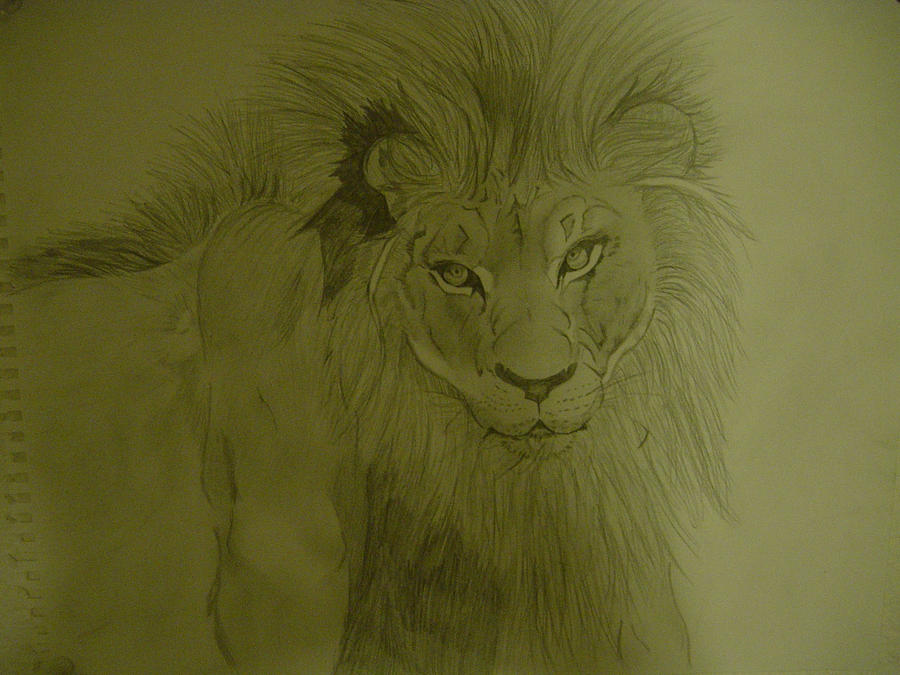 the_lion_by_zenebaona-d5bdvsx.jpg