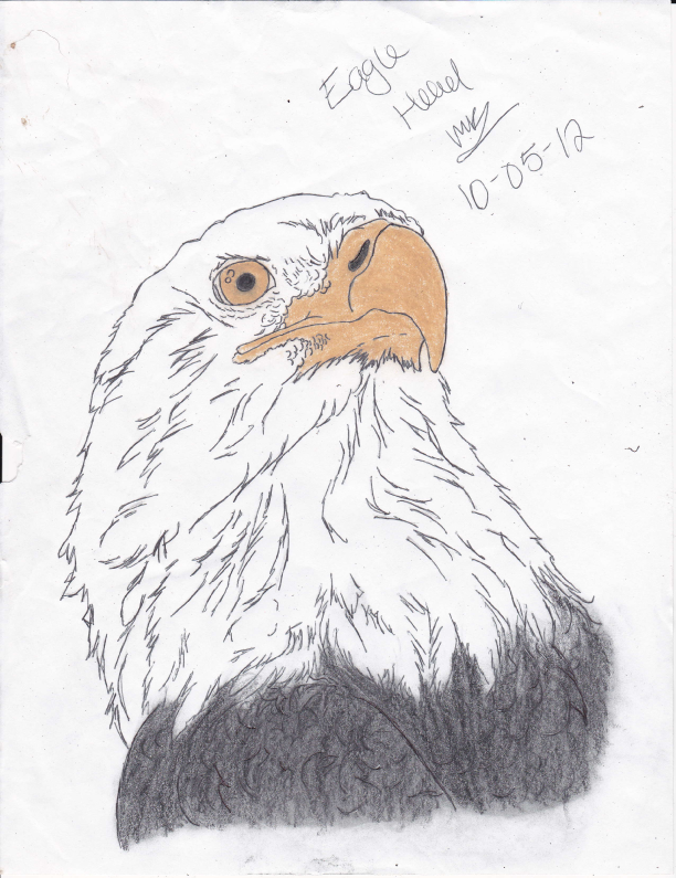 eagle_head_by_pieces_of_her_head-d5x27l0.png