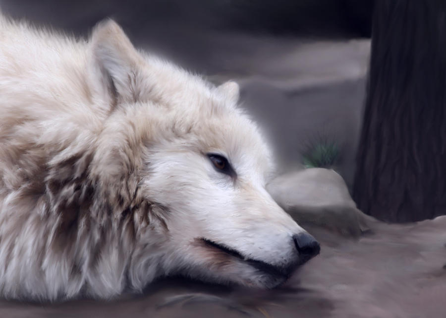 wolf_painting_by_angelic_bear-d57eba2.jpg