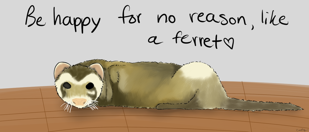 be_happy_like_a_ferret_by_catz537-d5v9fda.png