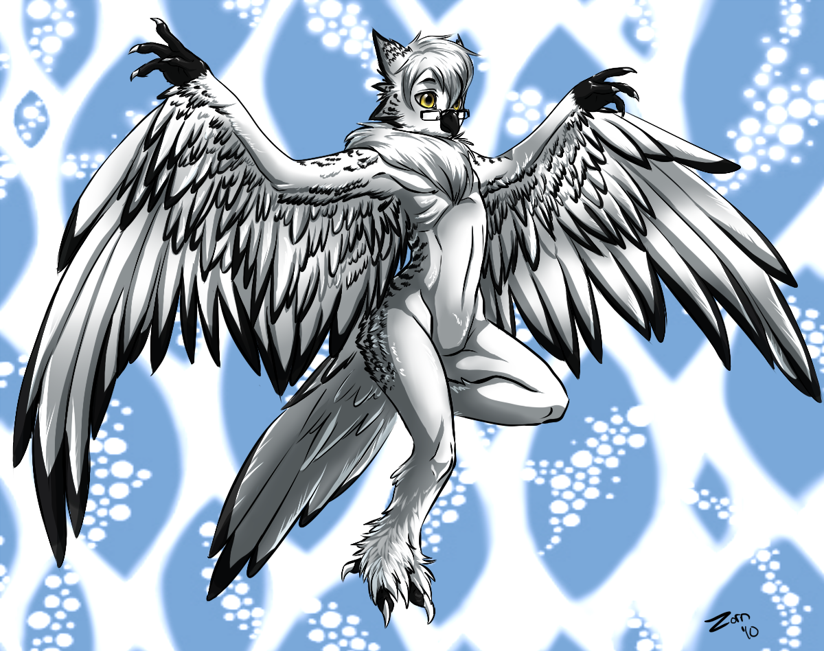 anthro__in_my_gallery__by_zorn_sable-d2xxqgr.png