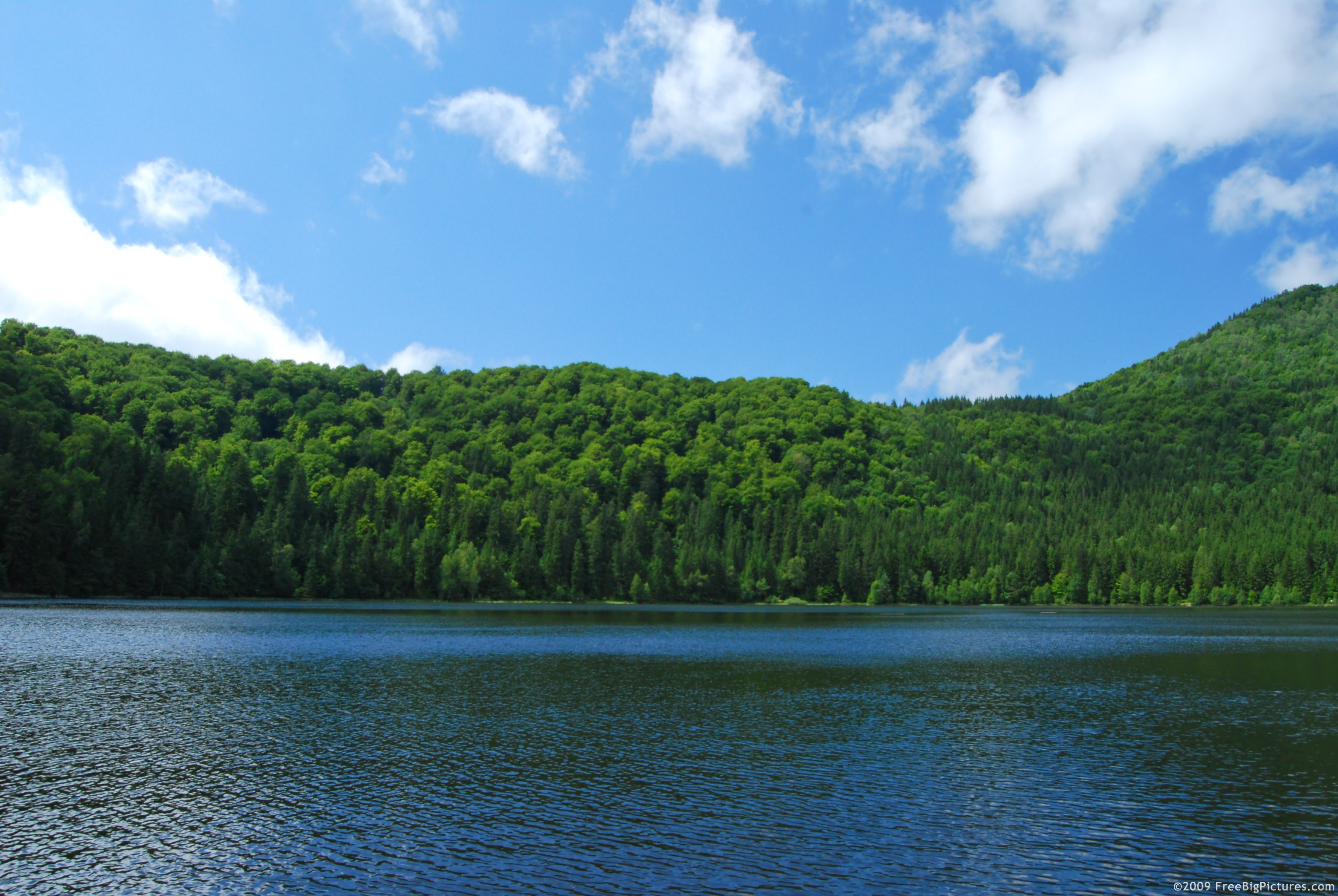 forest-lake.jpg
