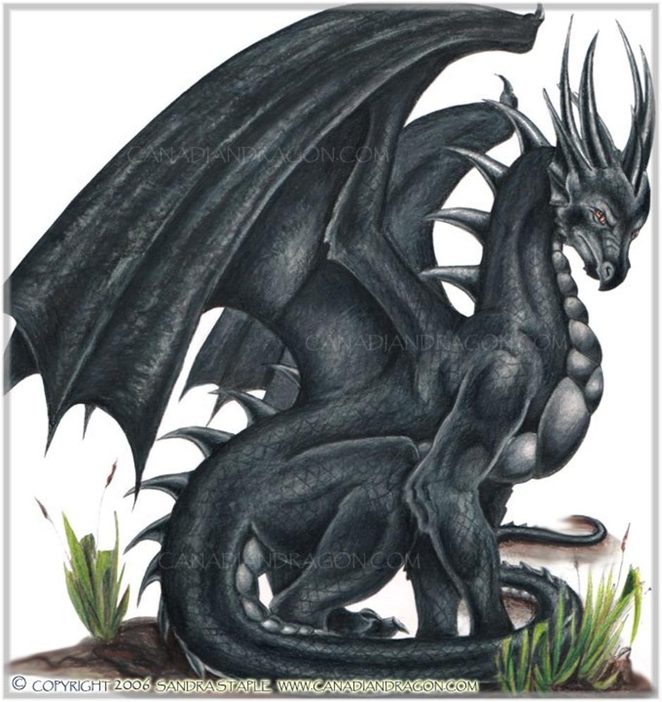black-dragon.jpg
