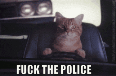 kitty-says-fuck-the-police-4921.gif