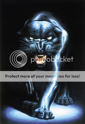 blackpanther13.jpg