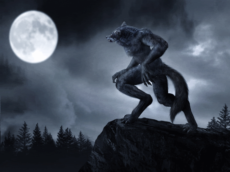 Werewolf-after-dark-22598833-800-600.gif
