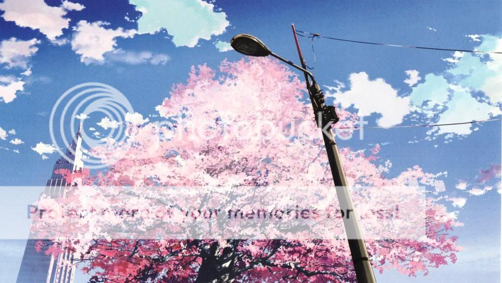 Sakura-Tree-cherry-blossoms-sakura-petals-sakura-tree-cherry-blossom-petals-petals-light-pole-anime-nature-_zpsaec8ab8d.jpg