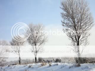 snowy_field_by_ideafox-d37y82h.jpg