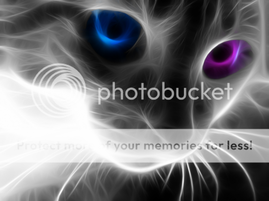 Blue-Eye-Cat-fractal-tigers-and-cats-animals-animal-cat-Fractalius-cartoon-faces-funny-loved-sexy-digitalart-zbyszek_largejpg-1.png