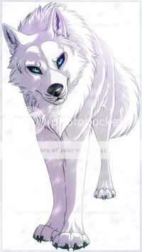 whitewolf3.jpg