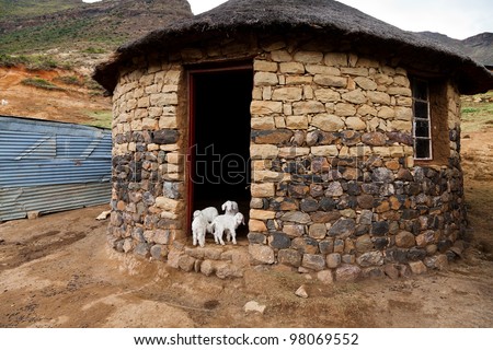 stock-photo-goats-walking-into-a-house-in-a-mountain-village-98069552.jpg