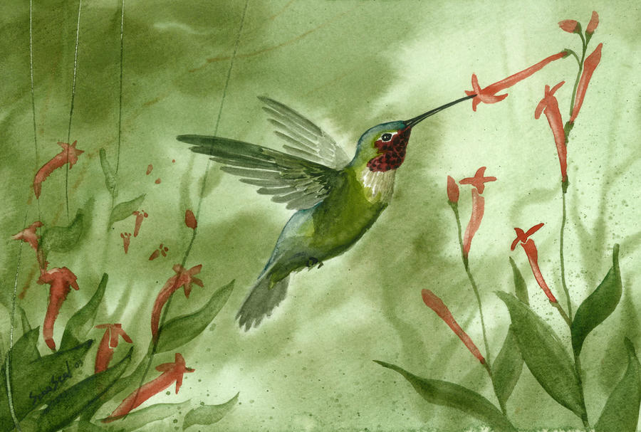 ruby-throated-hummingbird-sean-seal.jpg