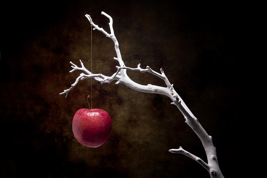 still-life-apple-tree-tom-mc-nemar.jpg
