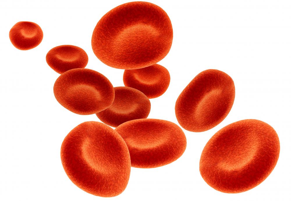 red-blood-cells.jpg