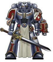 180px-Grey_Knight.png