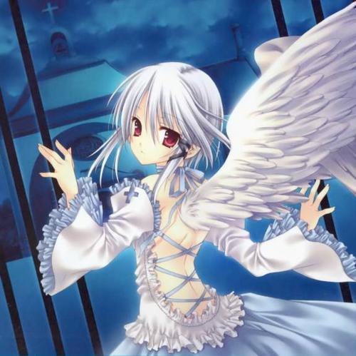 Anime-Angel-anime-25198117-500-499.jpg