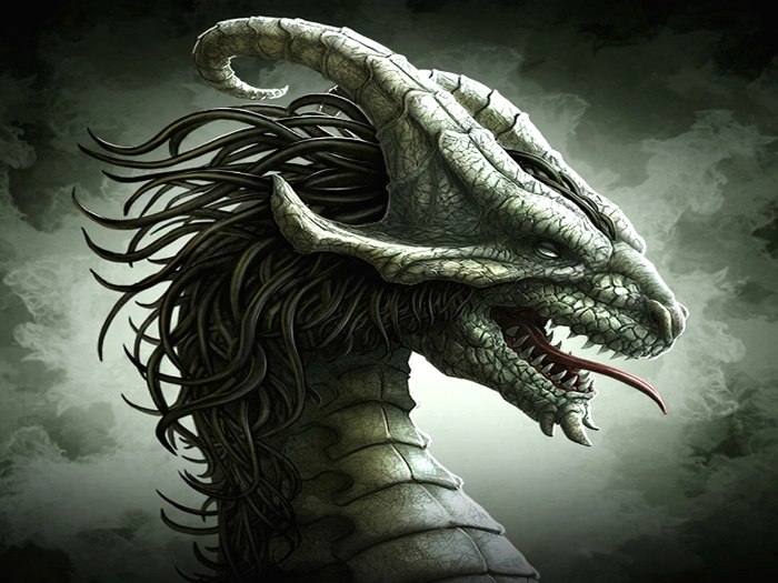 Fantasy-Dragon-dragons-27155136-700-525.jpg