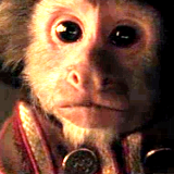 Jack-the-Monkey-jack-the-monkey-31424792-160-160.png