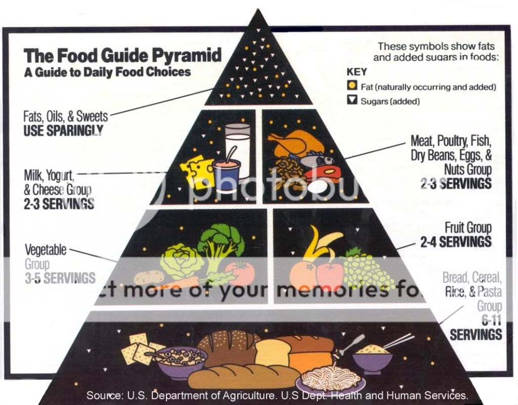 foodpyramid.jpg