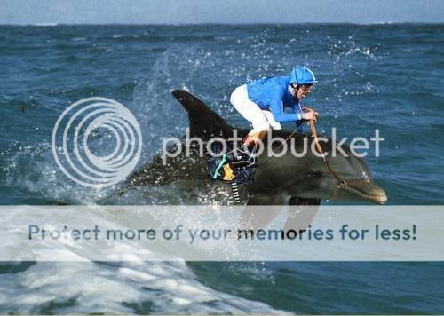 extreme_sports_dolphin_racing1.jpg