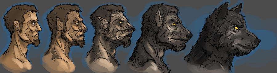 werewolf_transformation_by_tulwarr1-d3kwasc.jpg