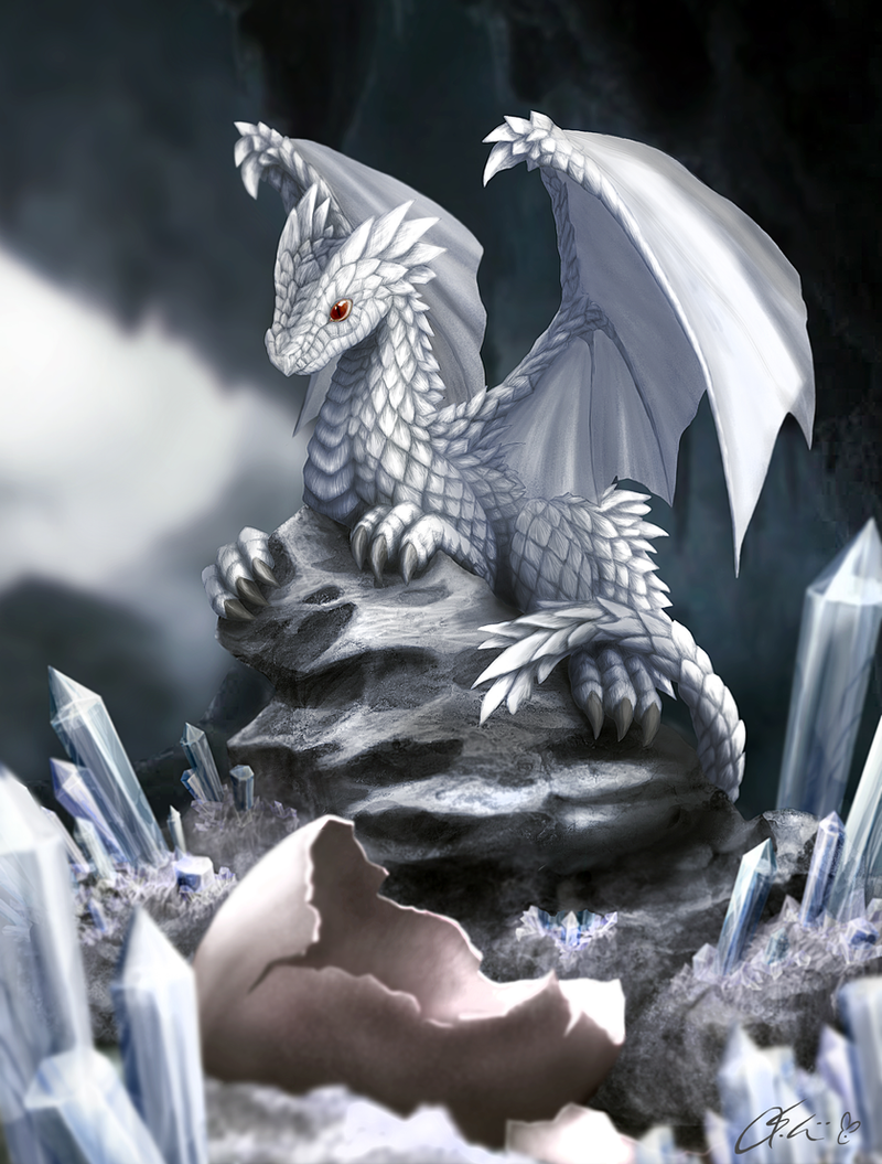 white_dragon_hatchling_by_dashase-d5nco89.png