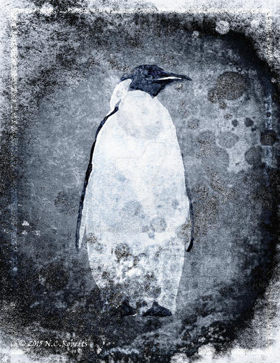penguin_by_ncroberts-d94xnmv.jpg