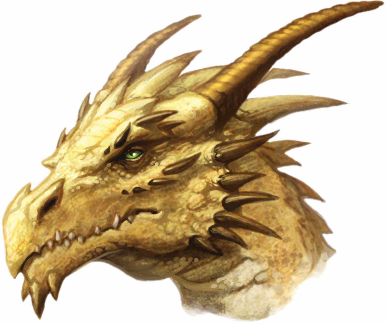 Gold_dragon_head.jpg