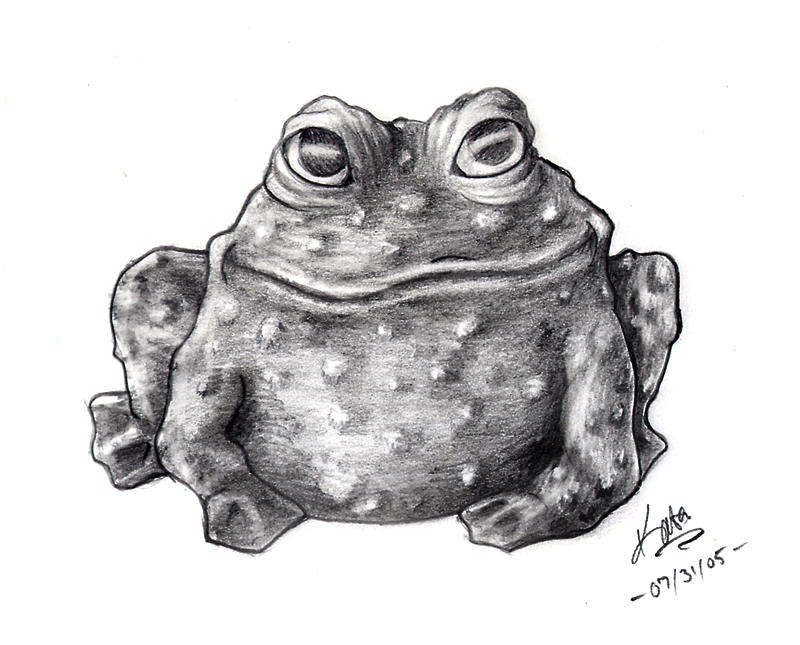 smirking_frog_by_kata.jpg