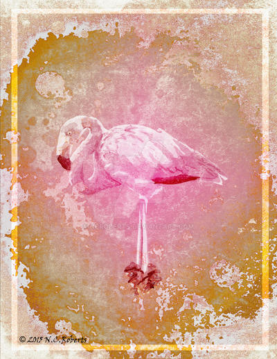 flamingo_by_ncroberts-d94v0a8.jpg