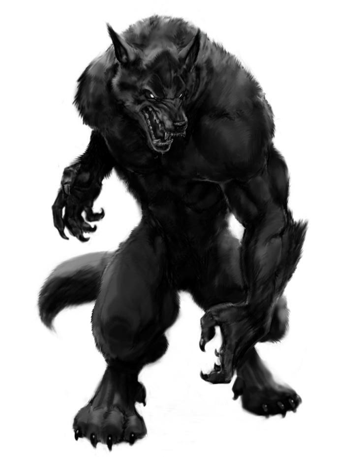 Black_werewolf_lycanthrope.JPG